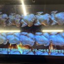 대천한방통닭 경산점