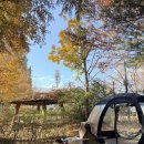 광주시민의숲 야영장 | [광주]첨단 시민의 숲 야영장 예약방법 및 52번 가을캠핑 후기