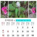 온여름달 이미지