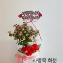 주니캔들본사 이미지