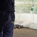서호엔지니어링