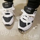 아키나인 이미지