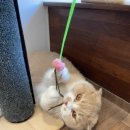 다다민박 이미지