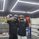 BOX-1복싱야당 | 🥊 고양시 일산 박스원(BOX-1), 스파링으로 실전 감각을 키우는 복싱 체육관