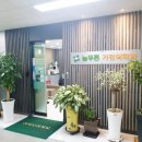 늘푸른가정의학과 네이버블로그