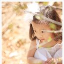 숲속의작은스튜디오 이미지