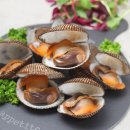 농업법인(주)푸릇푸릇