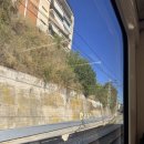 합창단 | 바르셀로나 한달살기 | 스페인 바르셀로나 몬세라트 후기 소년 합창단 사기(?) + 뷔페