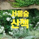 서울숲 산책