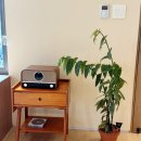산물19.1
