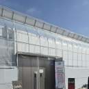 알프스게임하우스 | 겨울에 아이랑 대전 근교 논산 딸기체험 온누리딸기농장