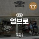 엄브로보령