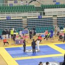 광주푸른초등학교 이미지