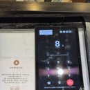 고속터미널 담장옆에국화꽃 파미에점 홍시 빙수 먹고 온 후기