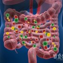 이폴리 - 포항시 남구 유강길10번길 47 | 이폴리