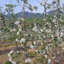 샘골농원 이미지