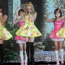 오렌지캬라멜 카카오 검색결과