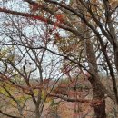 내평마을회관 이미지