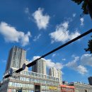 포레온새싹약국 이미지