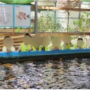 진목어린이집 이미지