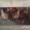 (주)복지연합 이미지