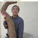 건강지킴이 카페