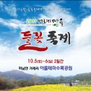 [화천여행]화천 거례마을 들꽃 축제/산국,구절초, 사랑나무 이미지