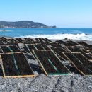 주전마을 이미지