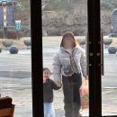 동그란 멍멍이 이미지