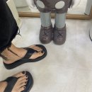 모르네일
