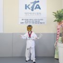 신광태권도 이미지