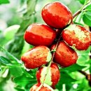 상사_체육공원(상사종합체육관) 이미지