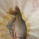 초원 낚시터 이미지