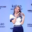다미 이미지