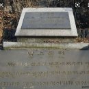 한양도성(남산구간) 이미지