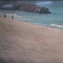 인명구조함-11 동아일보