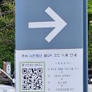 KT 위즈파크 먹거리 주문 야구앤오더 주문방법과 장안구청 주차정산, 104구역 시야
