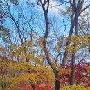 수선정사 이미지