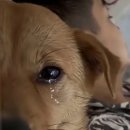 연세태권도 이미지