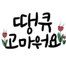 더멍멍 충주점 이미지