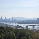 고향 선배님과 상암동 하늘공원에서 억새를 즐겼습니다. 이미지