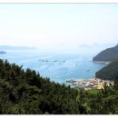 근화당약국 이미지