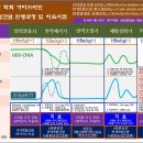 면역제거기(e항원양성만성비형간염) 의 치료 목표 이미지