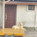 송우네민박 이미지