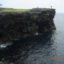 석부작박물관 이미지