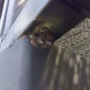 미래세차장 이미지