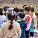 남선초등학교(병설) 이미지