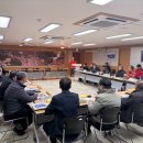 울진소나무 이미지