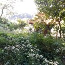 화악농장 이미지