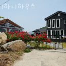 비니하니하우스 이미지